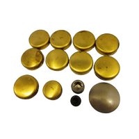 New Brass Welch Welsh Freeze Core Plug Set Kit Fits Commodore V6 3.8L 1988-95