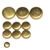 New Brass Welch Plug Kit Fits Suzuki Alto G10