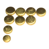 New Brass Welch Plug Kit Fits Nissan Pulsar 16LF 18LE