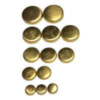 New Brass Welch Plug Kit Fits Mazda B2600 Bravo G6