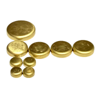 New Brass Welch Plug Kit Fits Mazda E1600 Capella NA 1.6L