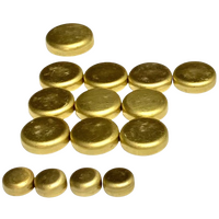 Brass Welch Plug Kit Brass Expansion Welsh Plugs Fits Ford FS 16V DOHC