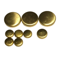 New Brass Welch Plug Kit Fits Toyota Coaster Dyna Stout 5R
