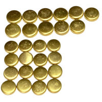 Brass Welch Plug Kit Brass Expansion Welsh Plugs Fits Toyota 3VZFE 3VZ-FE