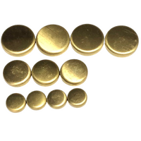 Brass Welch Plug Kit Brass Expansion Welsh Plugs Fits Mitsubishi 4G52 2L