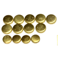 Brass Welch Plug Kit Brass Expansion Welsh Plugs Fits Nissan CA18 CA-18