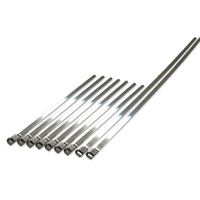 Stainless Steel Tie Exhaust Wrap Straps Zip Ties Clamps 8 X 20cm 2 X 40cm