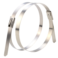 Stainless Steel Tie Exhaust Wrap Straps Zip Ties Clamps 100 X 20cm 