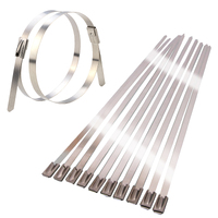 Stainless Steel Tie Exhaust Wrap Straps Zip Ties Clamps 10 X 40cm 7mm